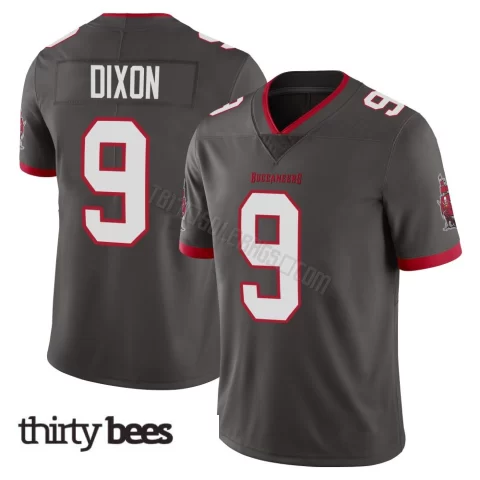 Riley Dixon ＃9 Tampa Bay Buccaneers Men's Limited Pewter Alternate Vapor Jersey