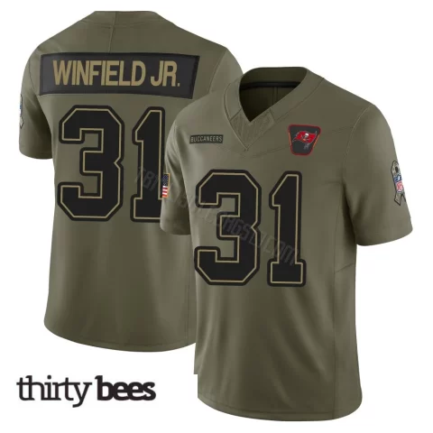 Antoine Winfield Jr. ＃31 Tampa Bay Buccaneers Youth Limited Olive 2025 Salute to Service Jersey