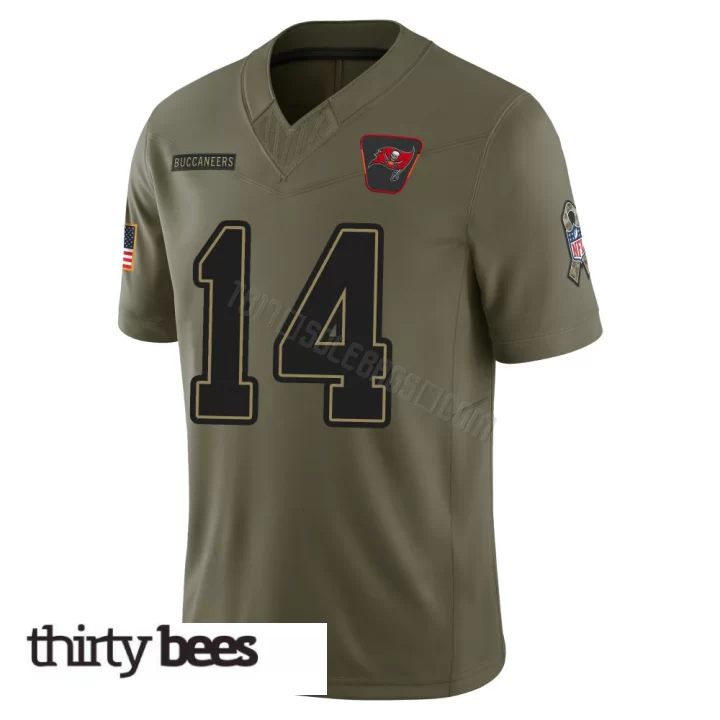 Chris Godwin Jr. ＃14 Tampa Bay Buccaneers Men's Limited Olive 2025 Salute to Service Jersey