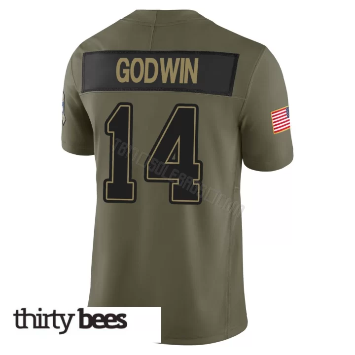 Chris Godwin Jr. ＃14 Tampa Bay Buccaneers Men's Limited Olive 2025 Salute to Service Jersey