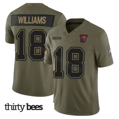 Josh Williams ＃18 Tampa Bay Buccaneers Men's Limited Olive 2025 Salute to Service Jersey
