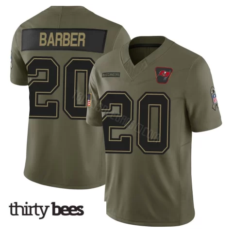 Ronde Barber ＃20 Tampa Bay Buccaneers Youth Limited Olive 2025 Salute to Service Jersey