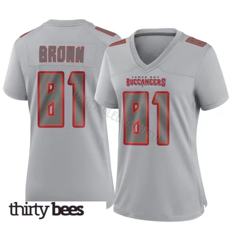 Antonio Brown ＃81 Tampa Bay Buccaneers Women's Game Gray Atmosphere Fashion Jersey
