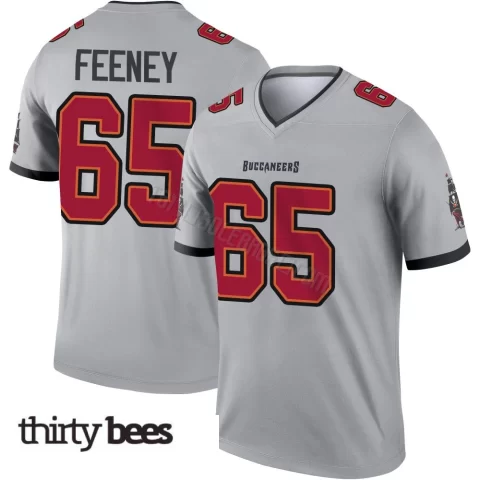 Dan Feeney ＃65 Tampa Bay Buccaneers Youth Legend Gray Inverted Jersey