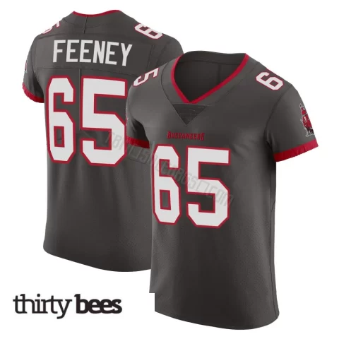Dan Feeney ＃65 Tampa Bay Buccaneers Men's Elite Pewter Alternate Vapor Jersey