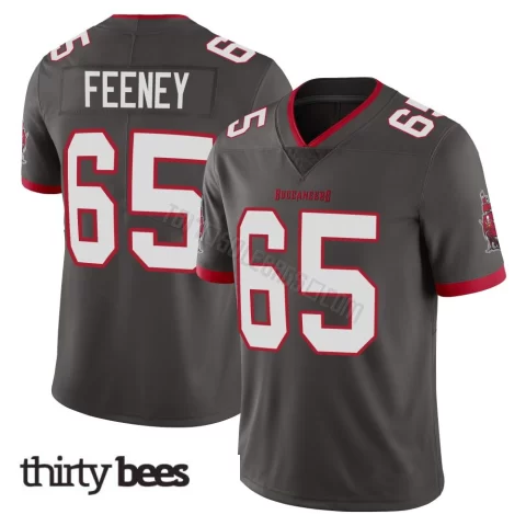 Dan Feeney ＃65 Tampa Bay Buccaneers Men's Limited Pewter Alternate Vapor Jersey