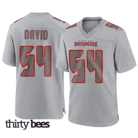 Lavonte David ＃54 Tampa Bay Buccaneers Men's Game Gray Atmosphere Fashion Jersey