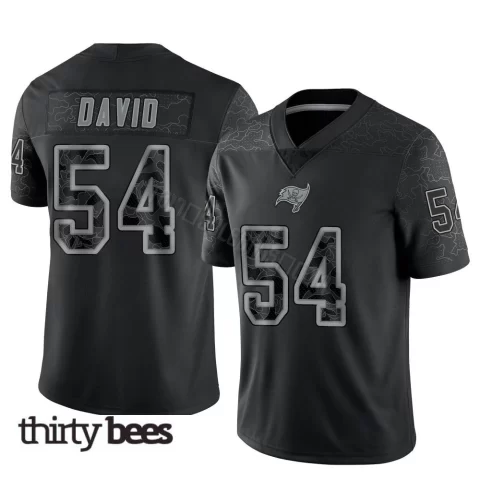 Lavonte David ＃54 Tampa Bay Buccaneers Youth Limited Black Reflective Jersey