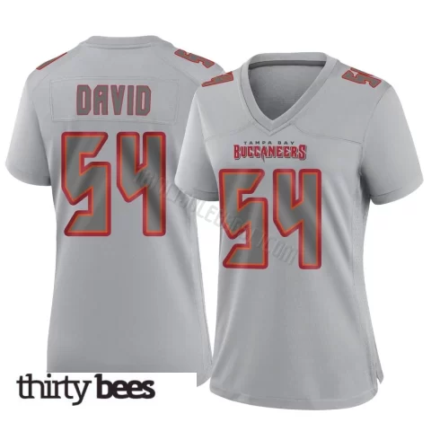 Lavonte David ＃54 Tampa Bay Buccaneers Women's Game Gray Atmosphere Fashion Jersey