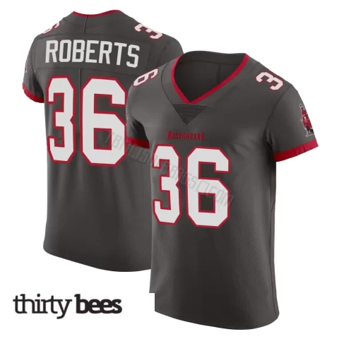 JJ Roberts ＃36 Tampa Bay Buccaneers Men's Elite Pewter Alternate Vapor Jersey