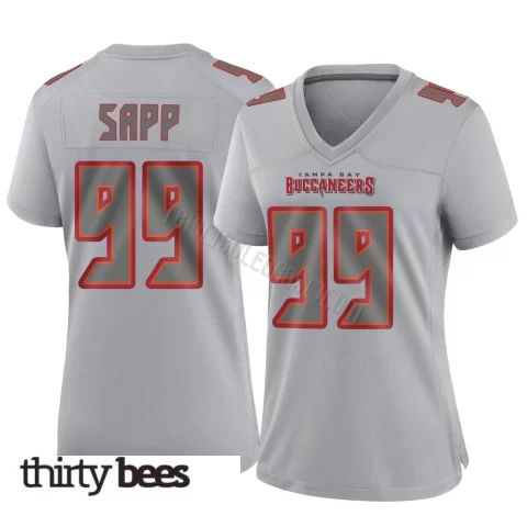 Warren Sapp ＃99 Tampa Bay Buccaneers Women's Game Gray Atmosphere Fashion Jersey