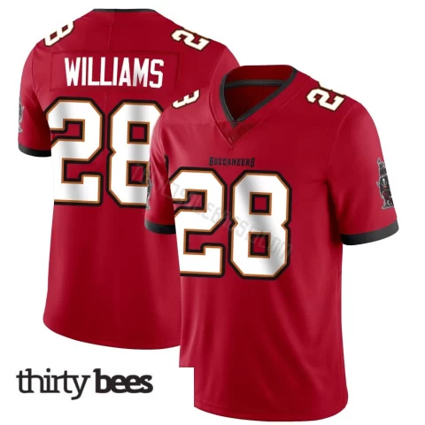 Damarion Williams ＃28 Tampa Bay Buccaneers Youth Limited Red Team Color Vapor Untouchable Jersey