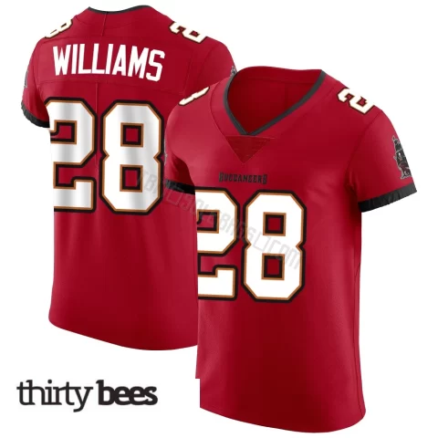 Damarion Williams ＃28 Tampa Bay Buccaneers Men's Elite Red Vapor Jersey