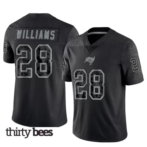Damarion Williams ＃28 Tampa Bay Buccaneers Youth Limited Black Reflective Jersey