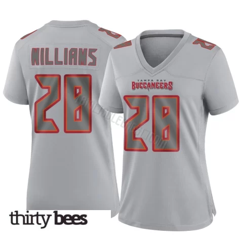Damarion Williams ＃28 Tampa Bay Buccaneers Women's Game Gray Atmosphere Fashion Jersey