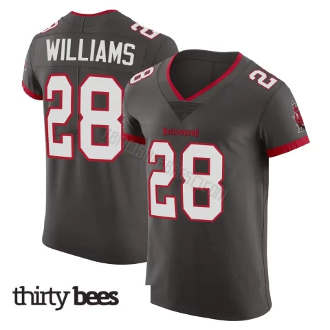 Damarion Williams ＃28 Tampa Bay Buccaneers Men's Elite Pewter Alternate Vapor Jersey