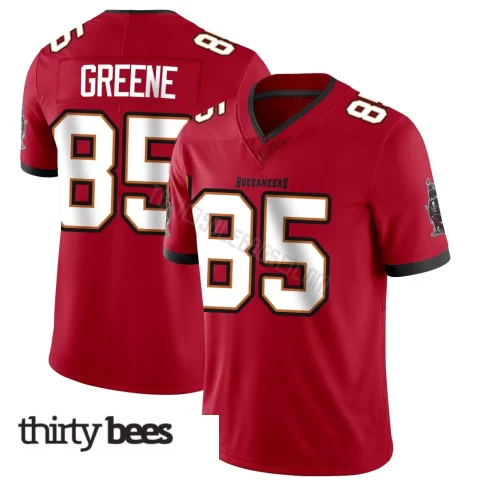 Garrett Greene ＃85 Tampa Bay Buccaneers Youth Limited Red Team Color Vapor Untouchable Jersey